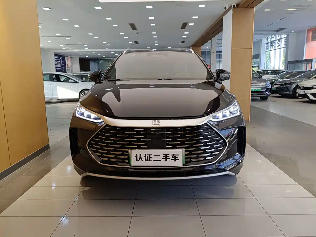 Tang New Energy 2025 Model Intelligent Driving Edition DM-i 115KM Flagship Type