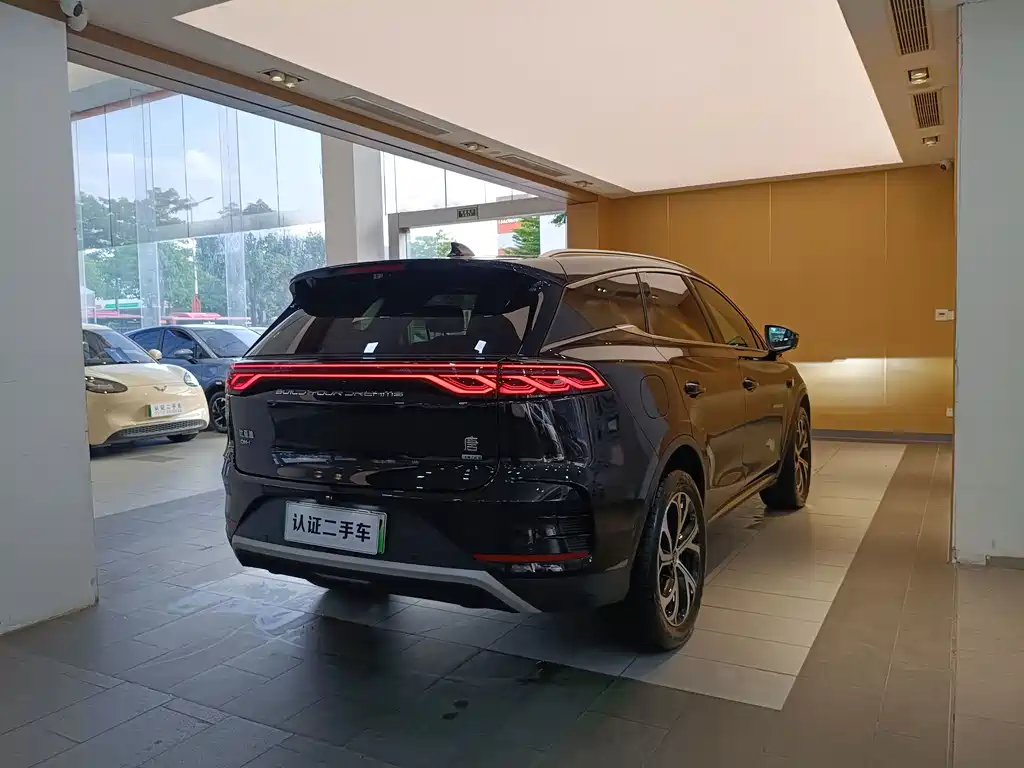Tang New Energy 2025 Model Intelligent Driving Edition DM-i 115KM Flagship Type