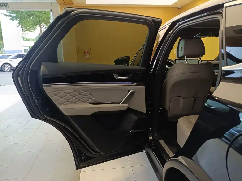 Tang New Energy 2025 Model Intelligent Driving Edition DM-i 115KM Flagship Type