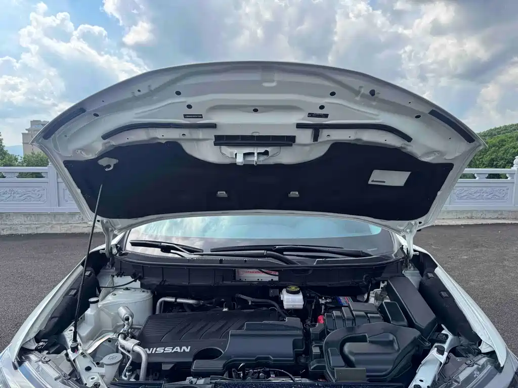 Qishun 2022 2.0L Two-Wheel Drive Zhilian Zhenxiang Edition