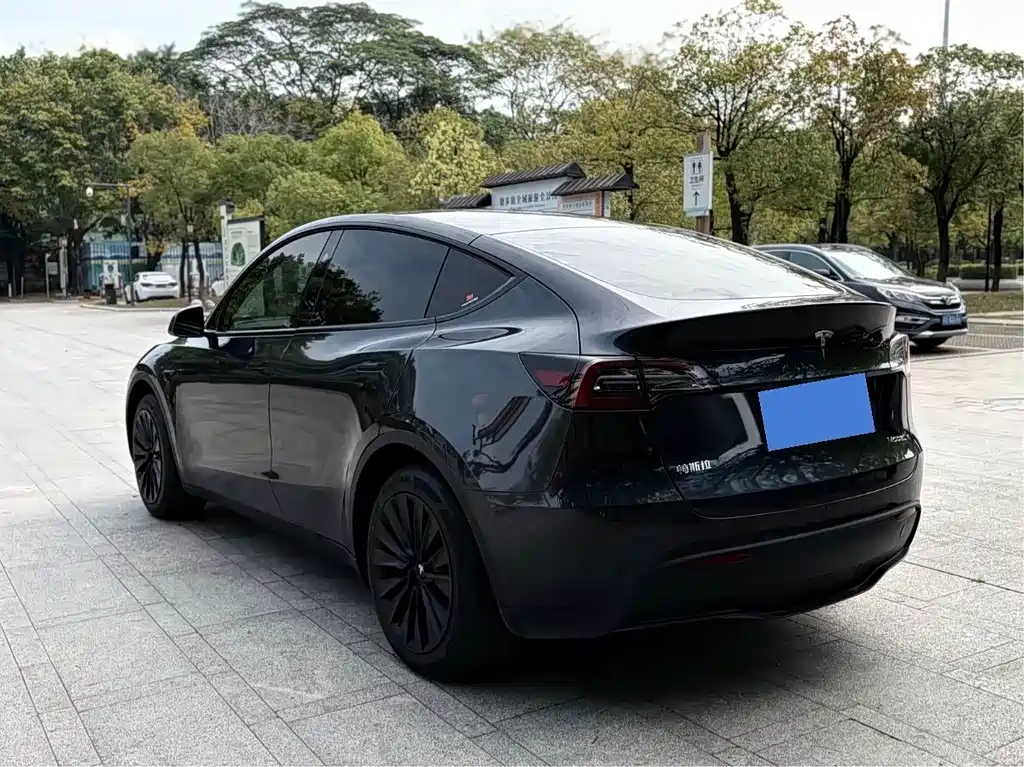 Model Y 2024 Rear-Wheel Drive Edition
