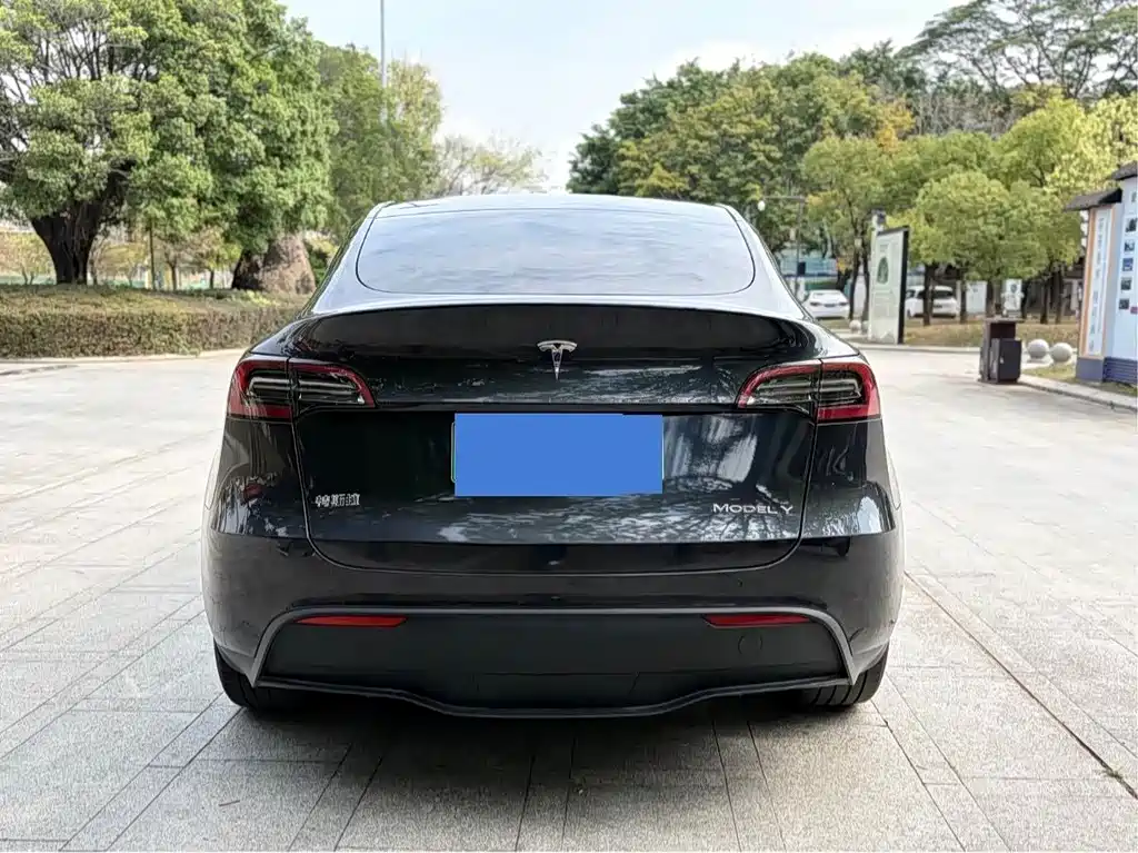 Model Y 2024 Rear-Wheel Drive Edition