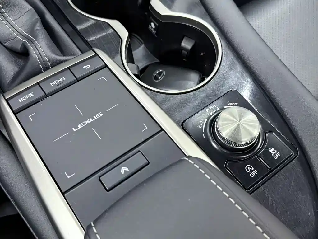 Lexus RX 2020 300 Two-wheel Drive Elite Edition National VI