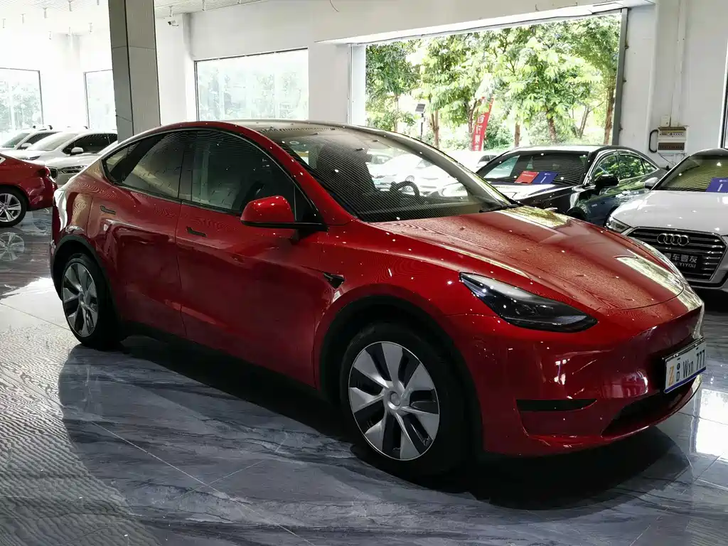 Model Y 2022 Rear-Wheel Drive Edition