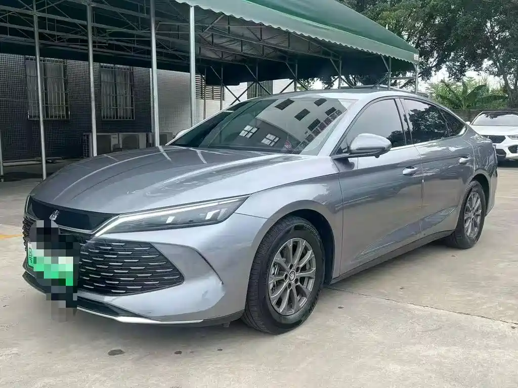 Qin L 2024 DM-i 80KM Leading Edition