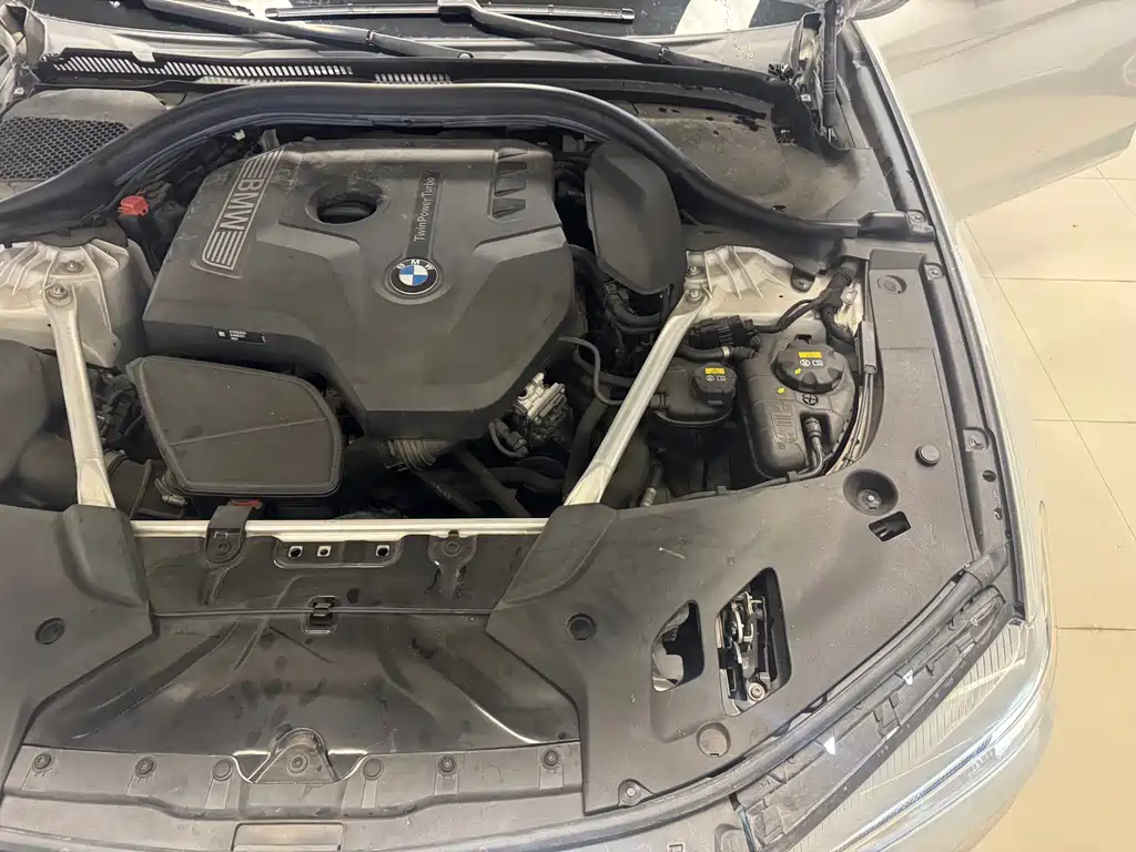 BMW 5 Series 2020 525Li Luxury Package