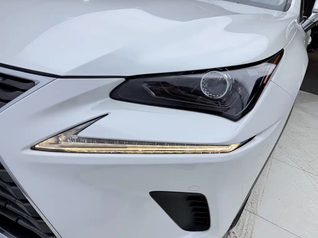 Lexus NX 2020 200 All-Wheel Drive Fengshang Edition National V