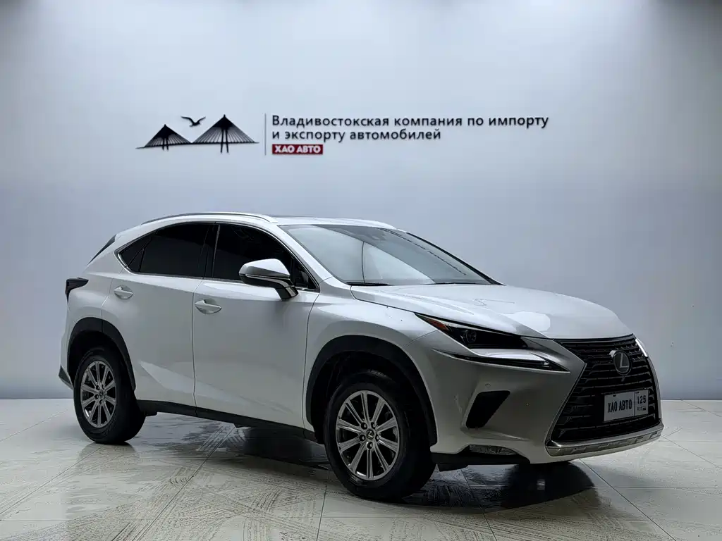 Lexus NX 2020 200 All-Wheel Drive Fengshang Edition National V