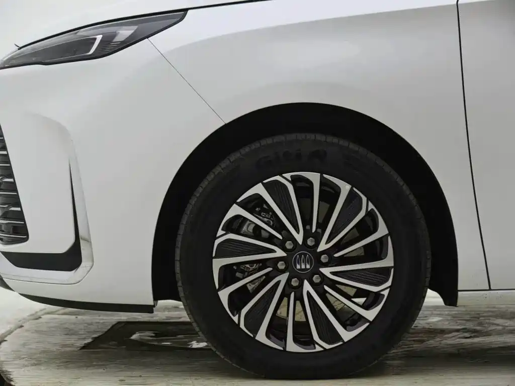 Buick GL8 New Energy 2025 Edition Luxurion Enjoyment Version