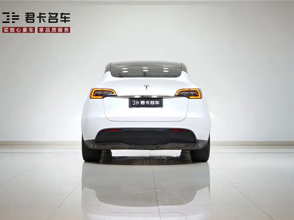 Model Y 2021 Standard Range Rear-Wheel Drive Edition