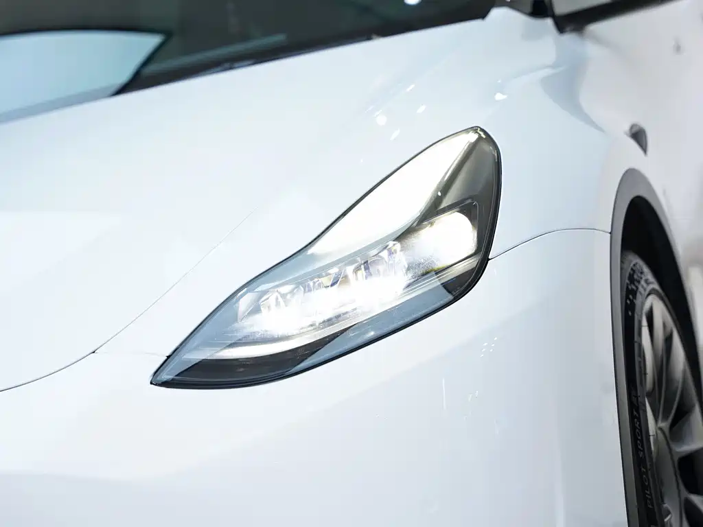 Model Y 2021 Standard Range Rear-Wheel Drive Edition