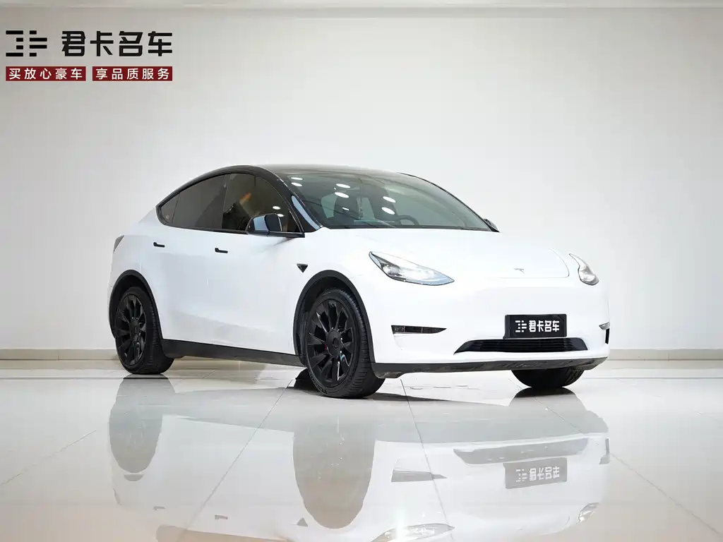 Model Y 2021 Standard Range Rear-Wheel Drive Edition