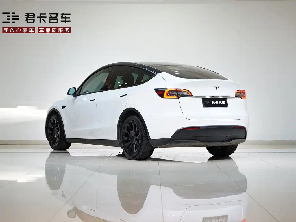 Model Y 2021 Standard Range Rear-Wheel Drive Edition