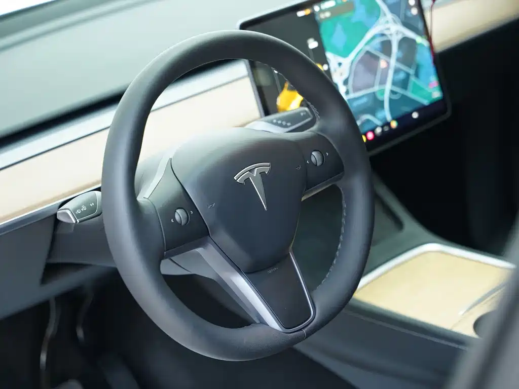 Model Y 2021 Standard Range Rear-Wheel Drive Edition