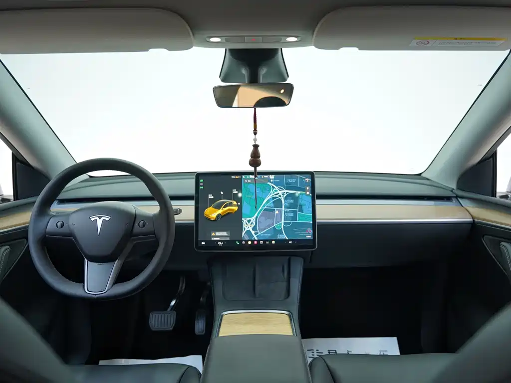 Model Y 2021 Standard Range Rear-Wheel Drive Edition