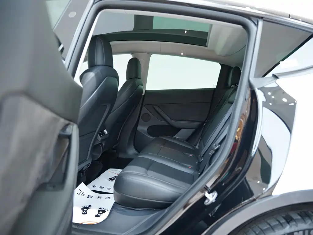 Model Y 2021 Standard Range Rear-Wheel Drive Edition