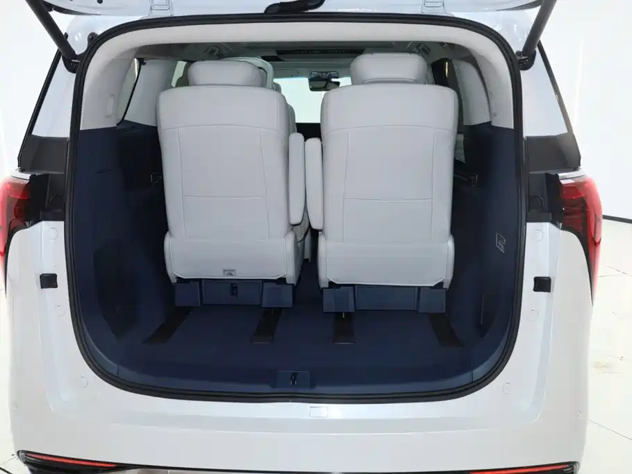 2025 Century 2.0T Six-Seater Yunshe Edition
