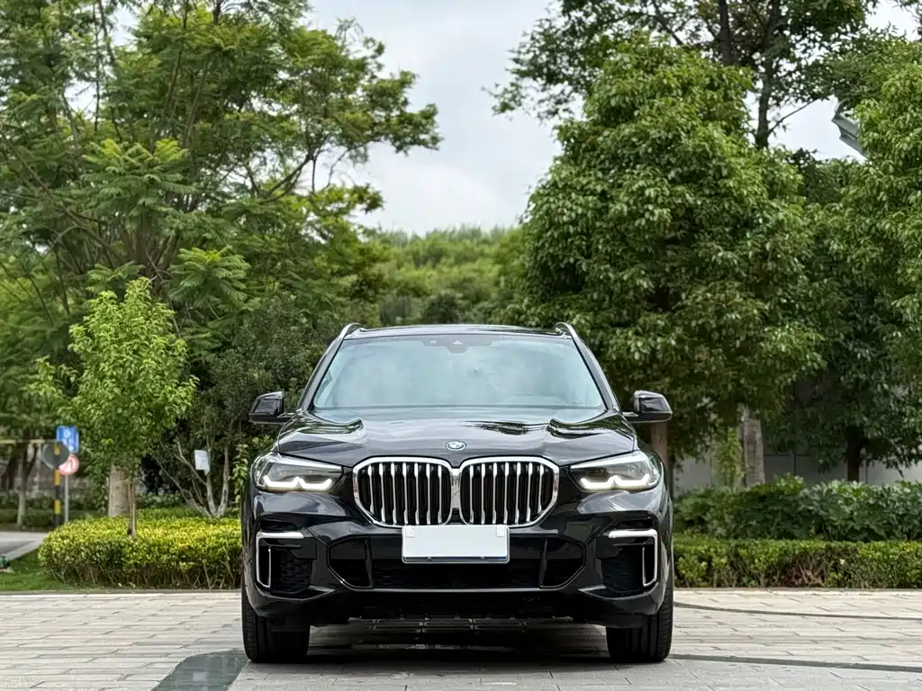 BMW X5 2022 xDrive 30Li M Sport Package