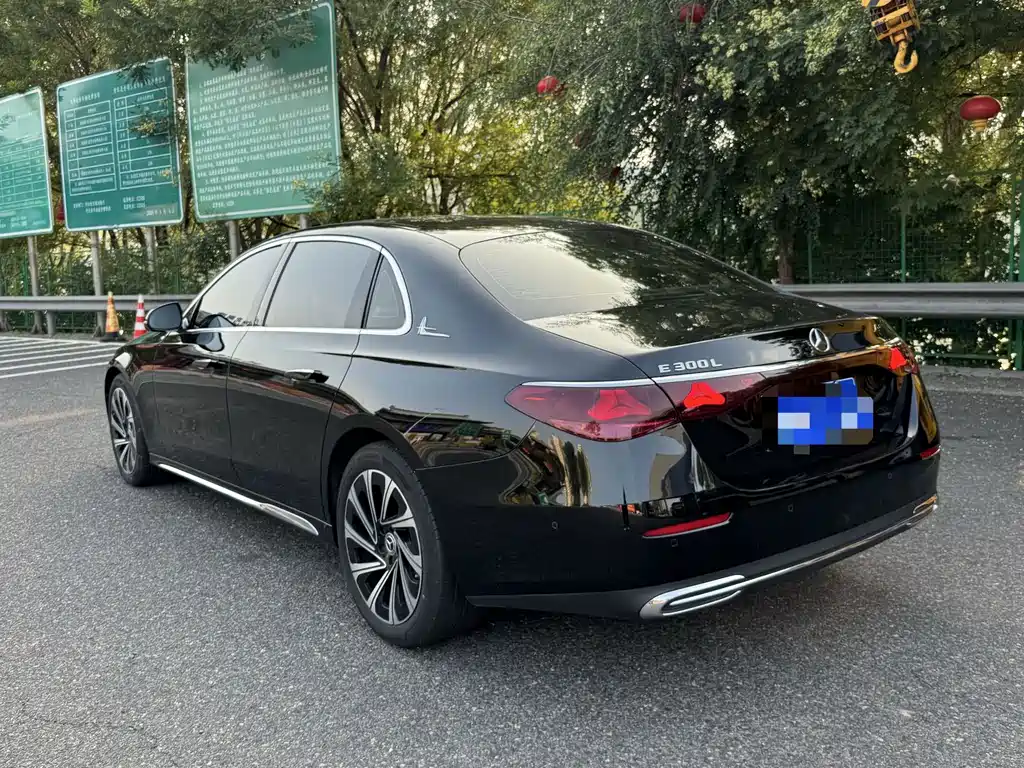 Mercedes-Benz E-Class 2024 E 300 L Luxury Edition