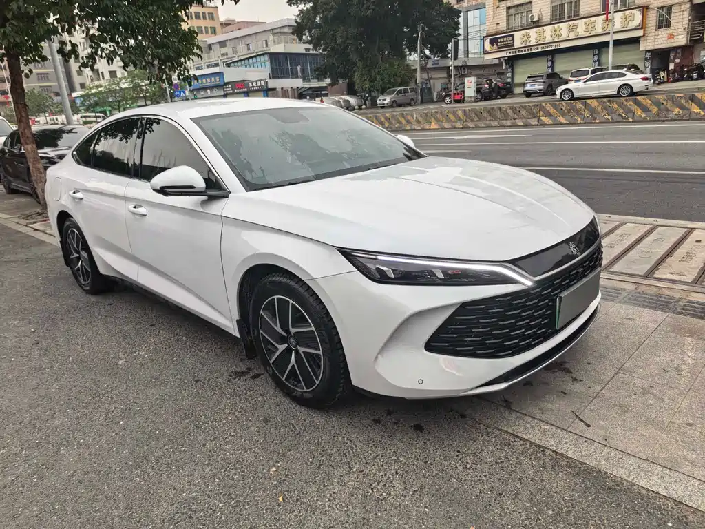 Qin L 2024 DM-i 80KM Surpassing Edition