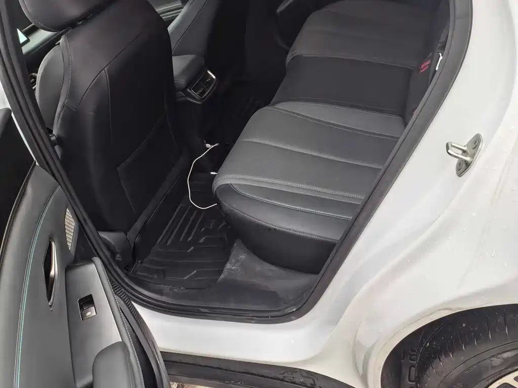 Qin L 2024 DM-i 80KM Surpassing Edition