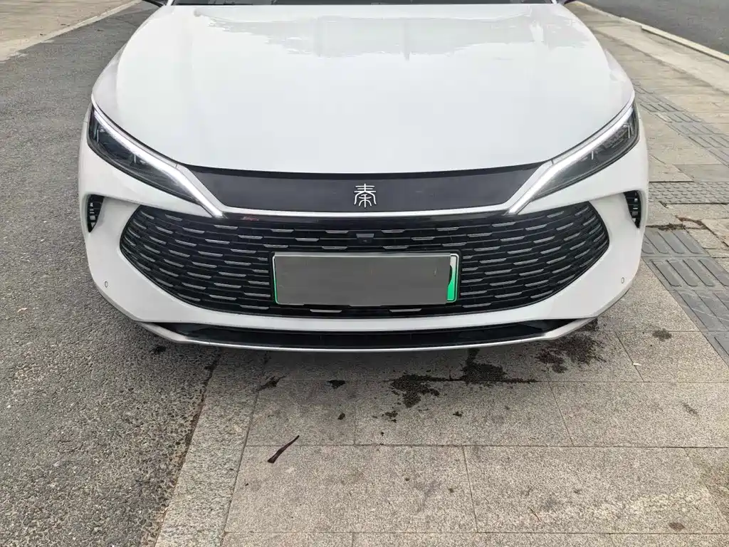 Qin L 2024 DM-i 80KM Surpassing Edition