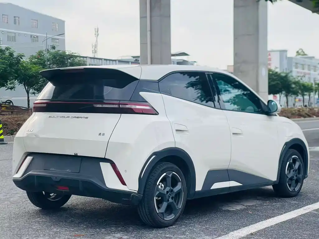Suzhou 2024 Glory Edition 305km Freedom Version