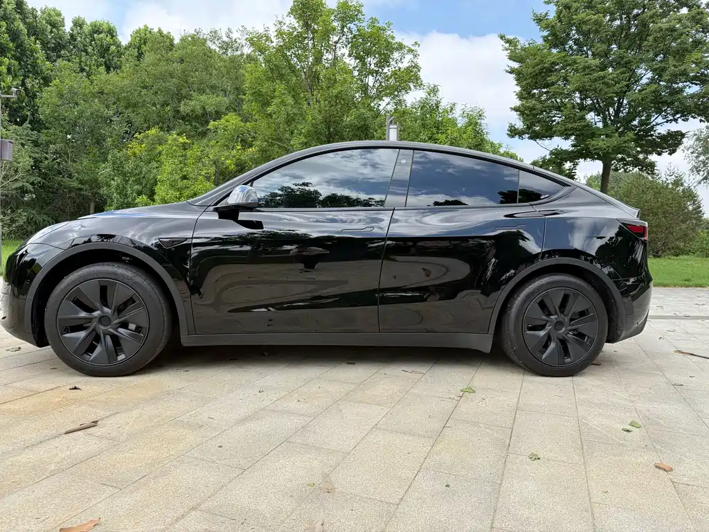 Model Y 2023 Rear-Wheel Drive Edition