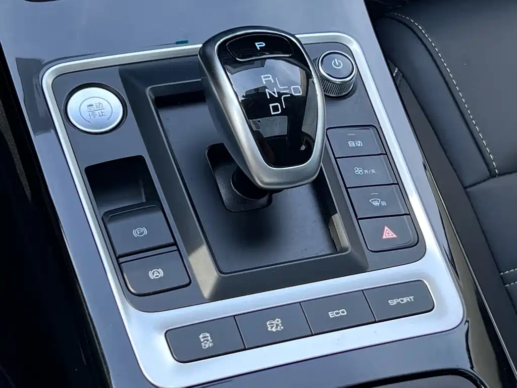 Qin New Energy 2019 Model High Range Edition Luxury Type