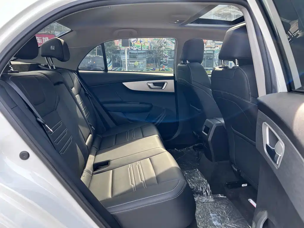 Qin New Energy 2019 Model High Range Edition Luxury Type