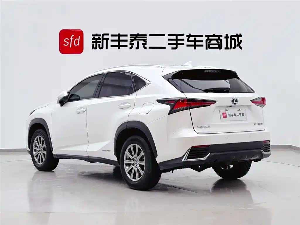 Lexus NX 2020 300h Front-wheel Drive Fengshang Edition National VI