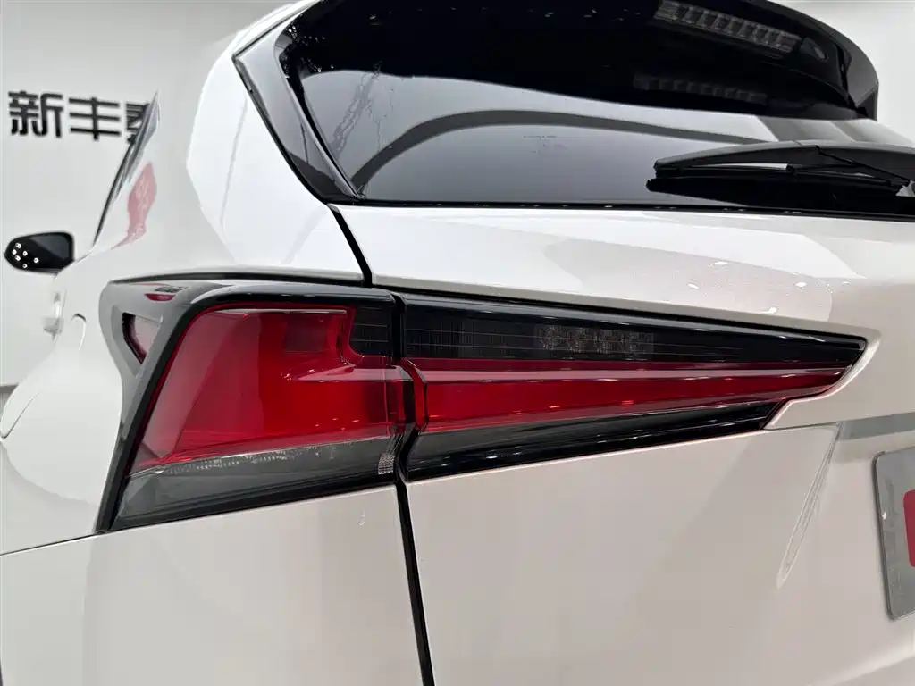 Lexus NX 2020 300h Front-wheel Drive Fengshang Edition National VI