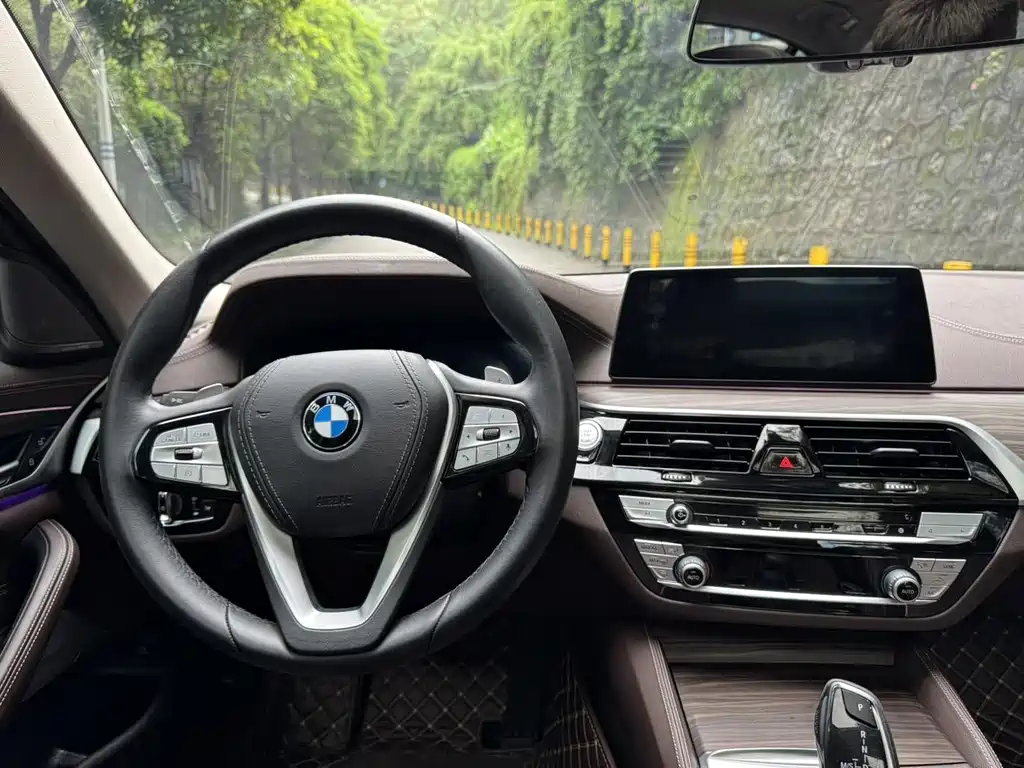 BMW 5 Series 2020 530Li Grandeur Edition Luxury Package