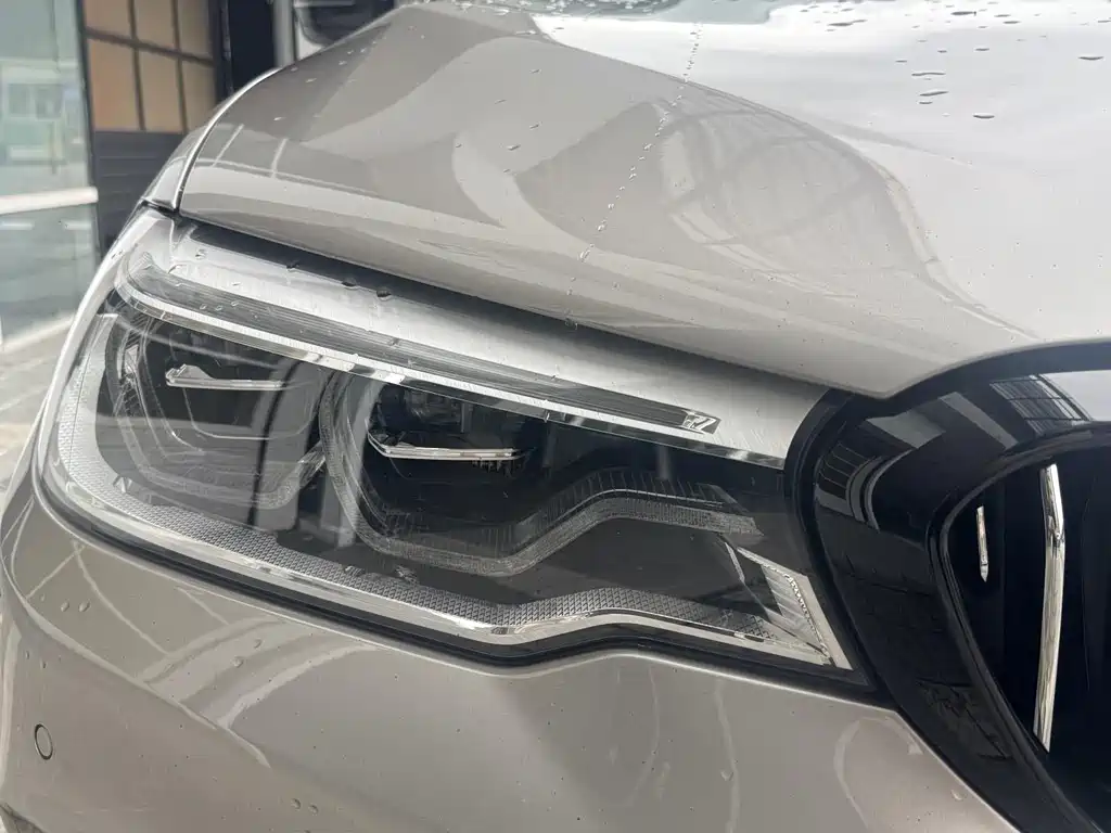 BMW 5 Series 2020 530Li Grandeur Edition Luxury Package