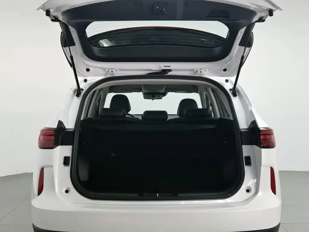 Haval H6 2022 Model Third Generation 1.5T Automatic Two-Wheel Drive Max