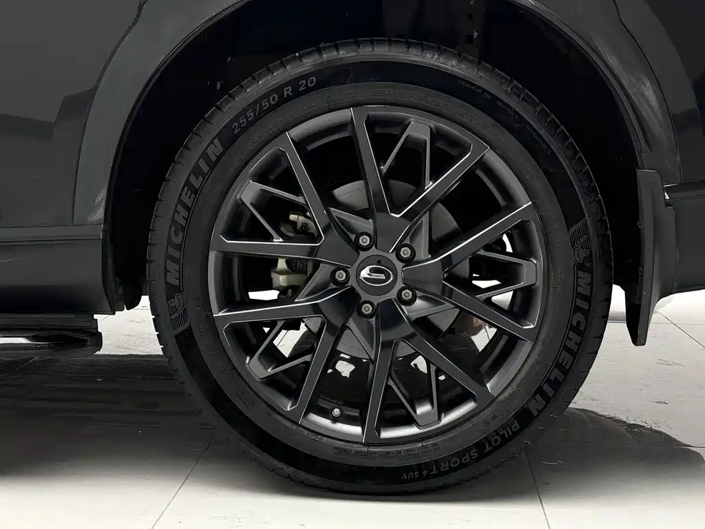 Chery GS8 2022 Model Leading Series 2.0TGDI Two-wheel Drive Luxury Smart Connectivity Edition (7-seater)