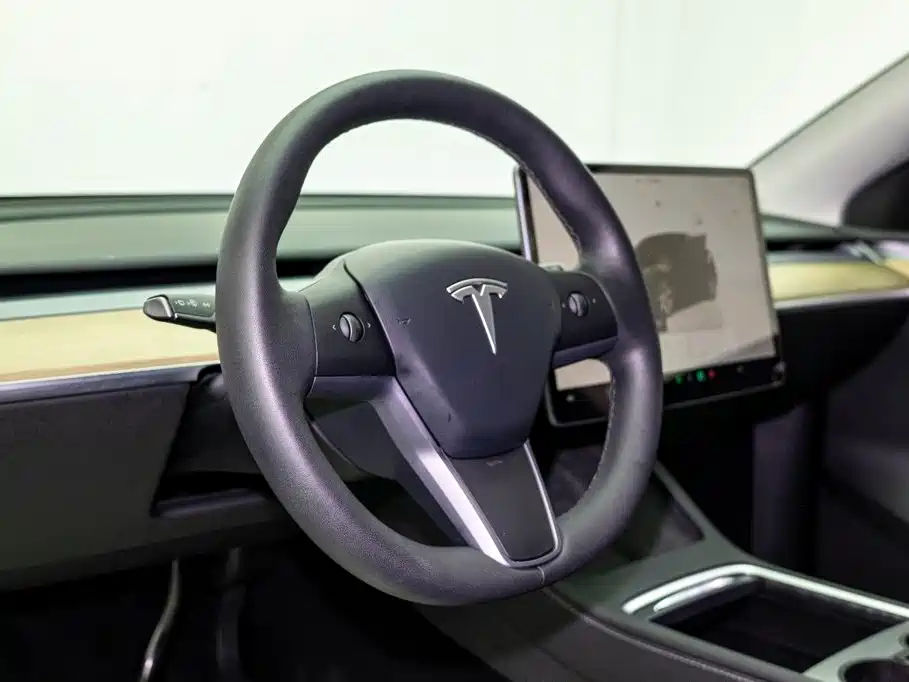 Model Y 2022 Rear-Wheel Drive Edition