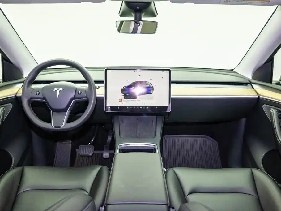 Model Y 2022 Rear-Wheel Drive Edition