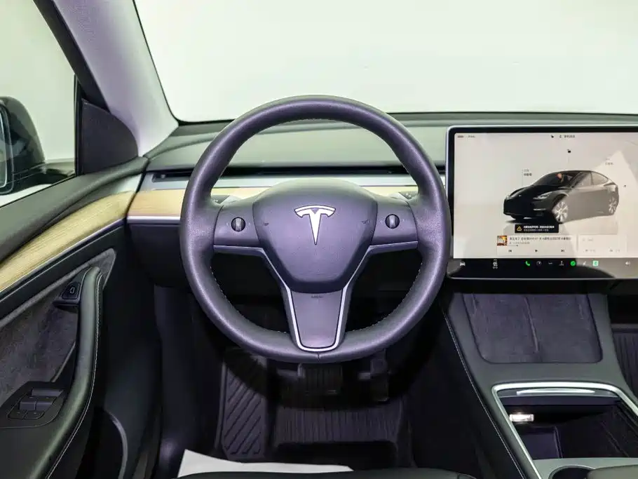 Model Y 2022 Rear-Wheel Drive Edition