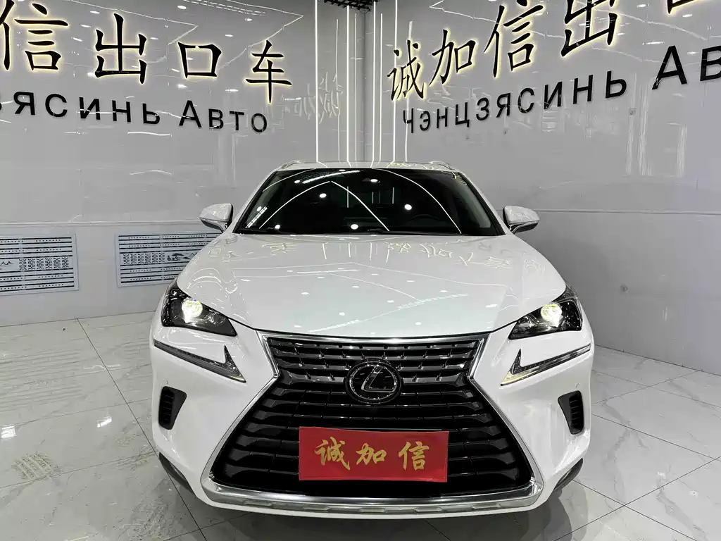 Lexus NX 2020 200 All-Wheel Drive Fengshang Edition National VI