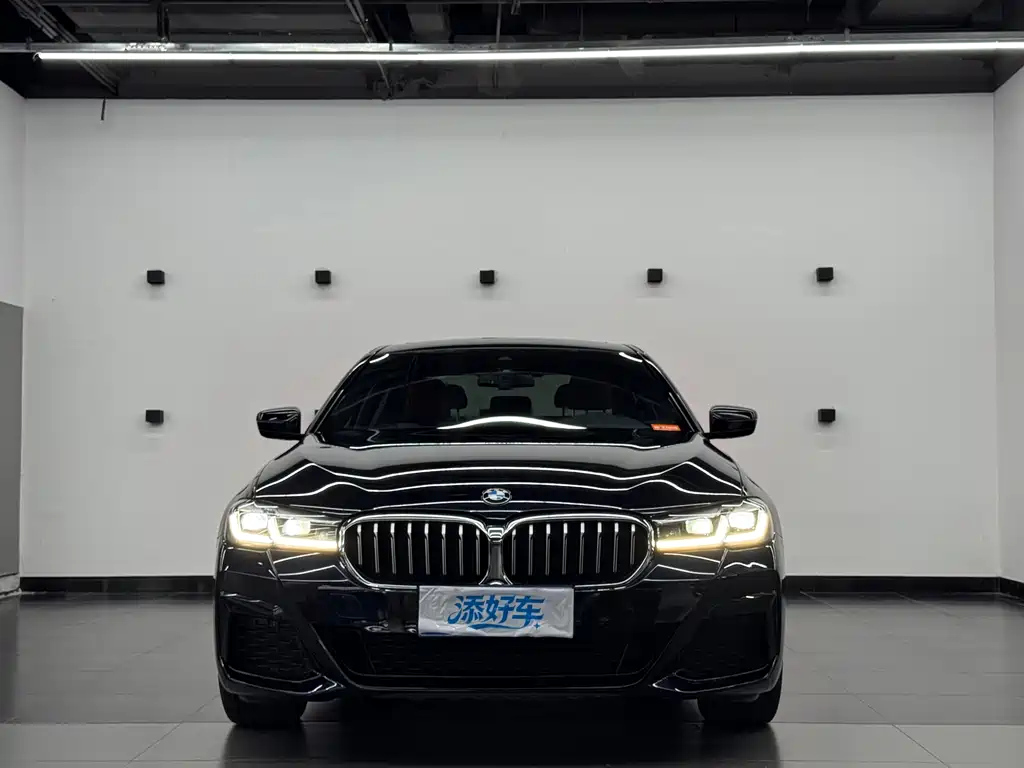 BMW 5 Series 2021 530Li Leading Edition M Sport Package