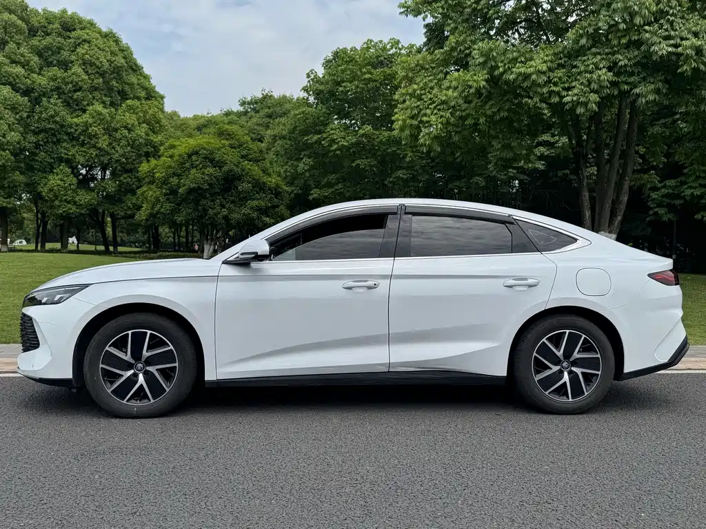 Qin L 2024 DM-i 120KM Leading Edition