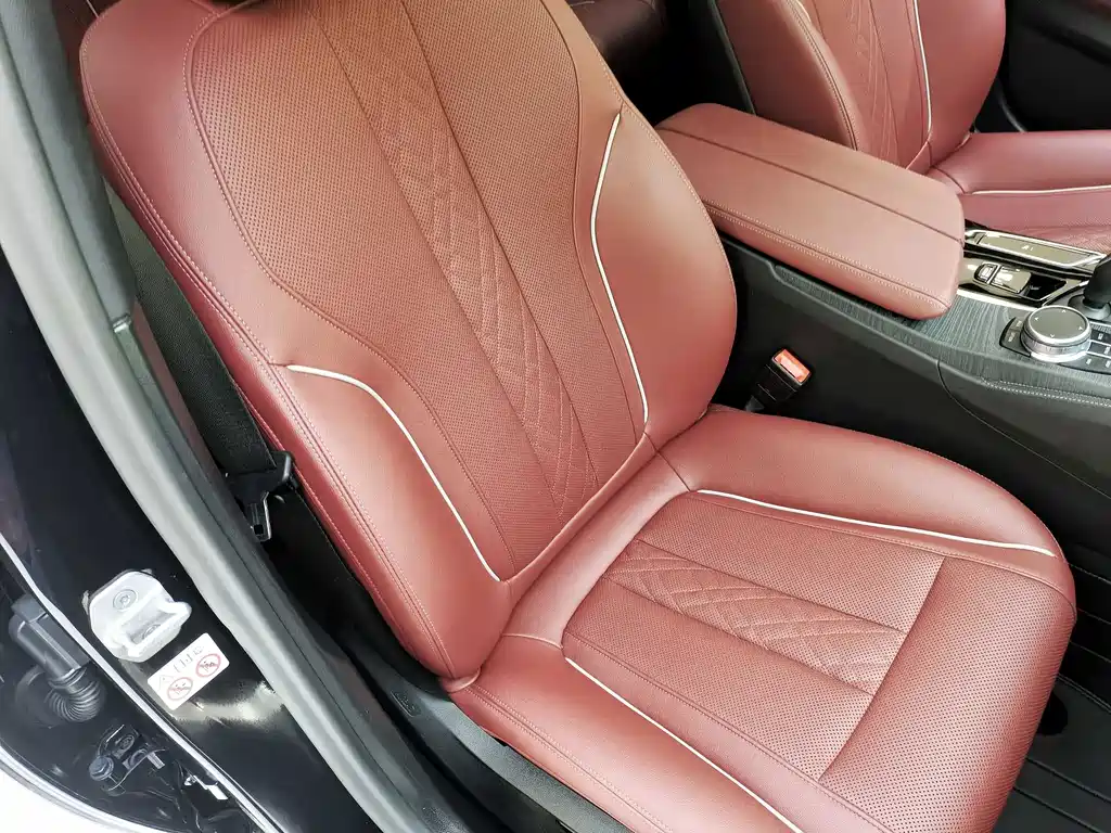 BMW 5 Series 2021 530Li Leading Edition M Sport Package
