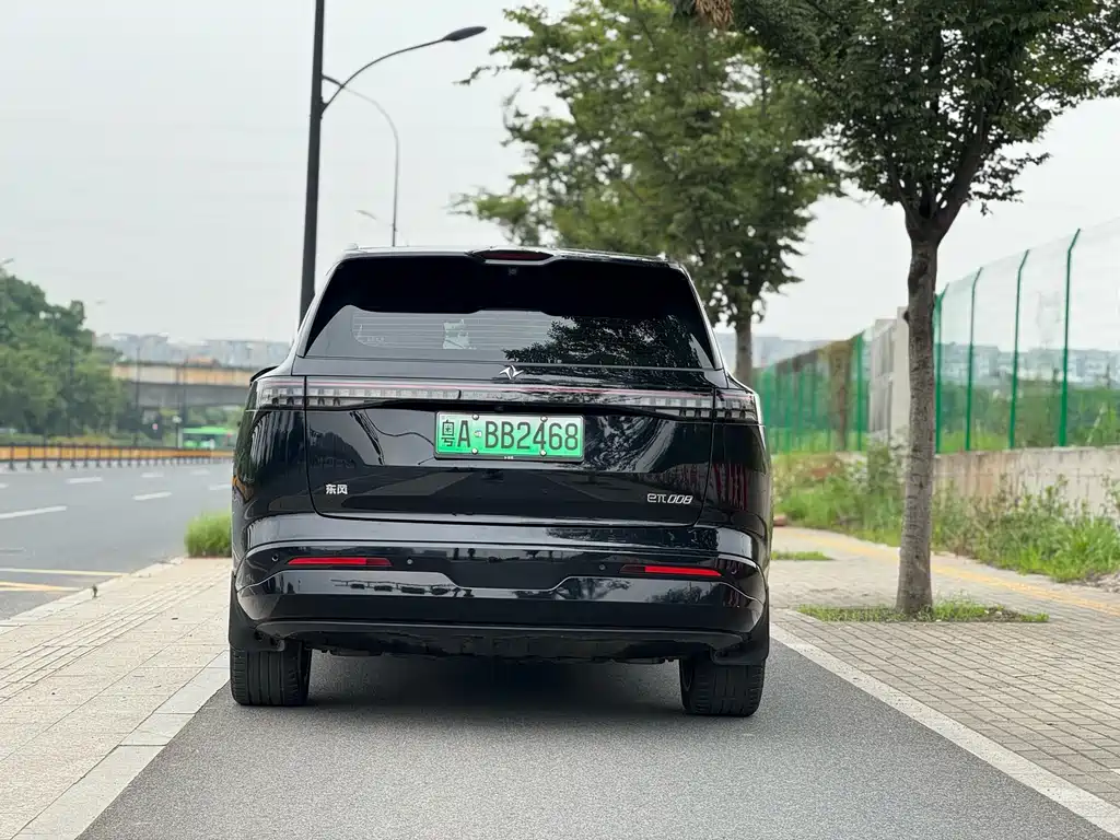 eπ008 2025 Edition 636Ultra Pure Electric 5-Seat