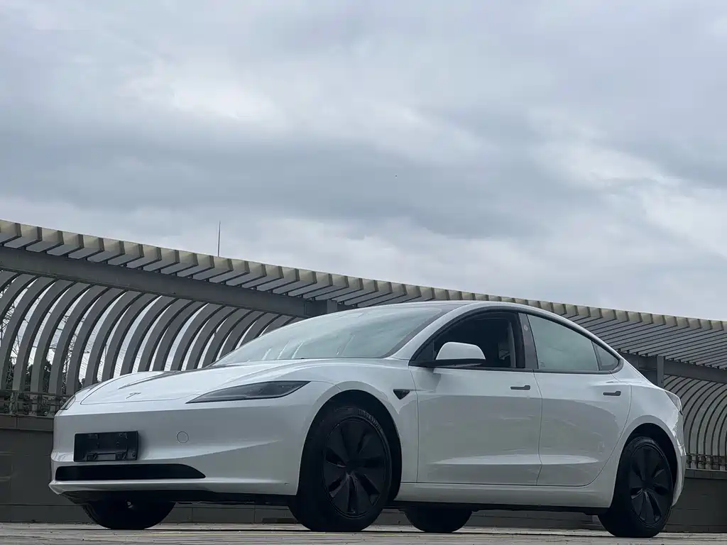 Model 3 Long Range Rear-Wheel Drive 2025 Edition