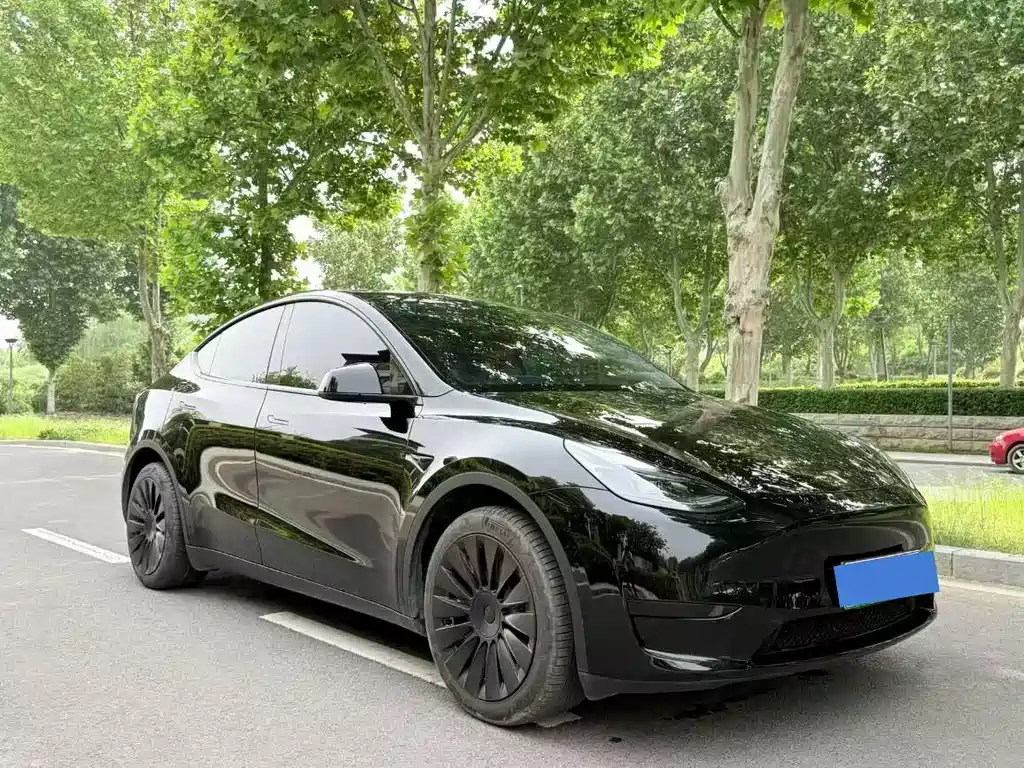 Model Y 2022 Rear-Wheel Drive Edition