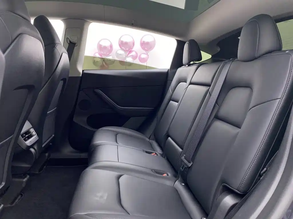 Model Y 2022 Rear-Wheel Drive Edition