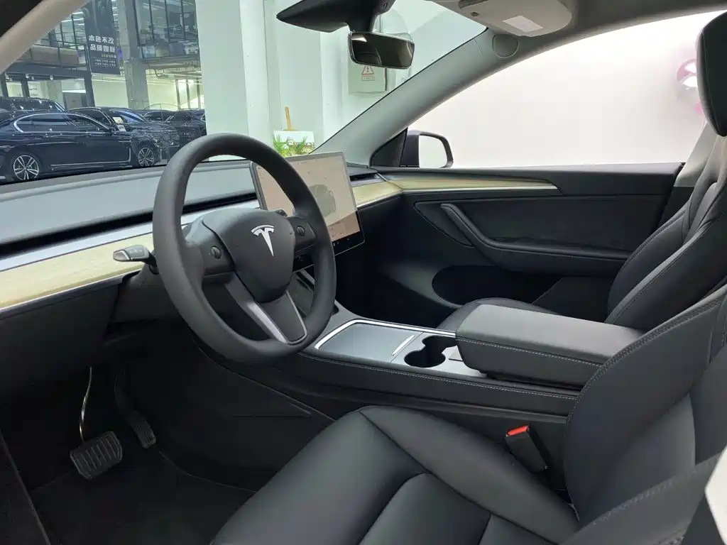 Model Y 2022 Rear-Wheel Drive Edition