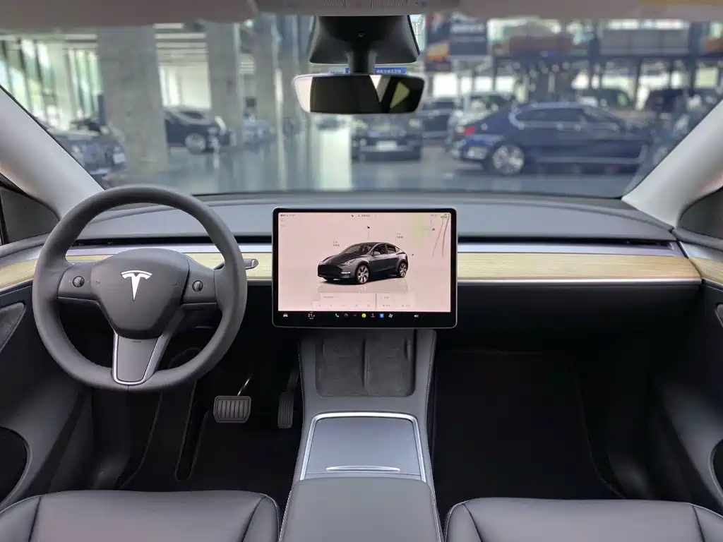 Model Y 2022 Rear-Wheel Drive Edition