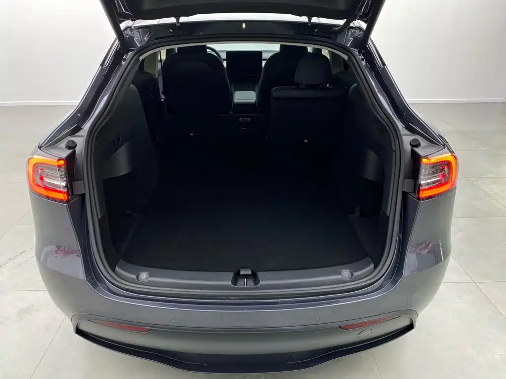 Model Y 2022 Rear-Wheel Drive Edition